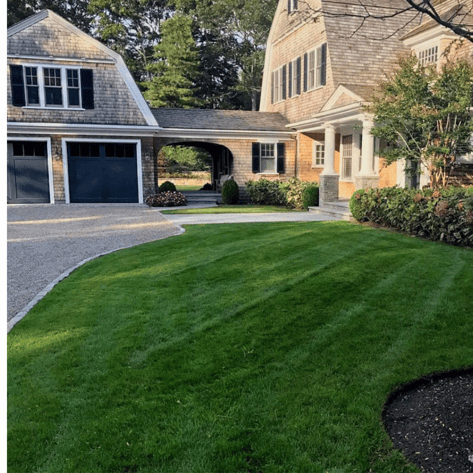 Healthy, vibrant lawn in spring after snow has melted, showing recovery from winter damage and signs of new growth