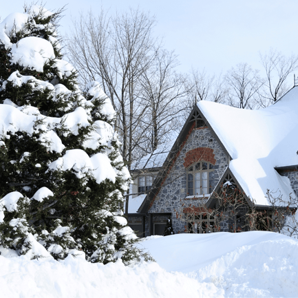 Winter snow covering a healthy lawn in New England, demonstrating the insulating benefits of snow for grass