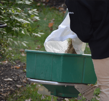 Premium cool-season grass seed blend for New England lawns, ideal for overseeding