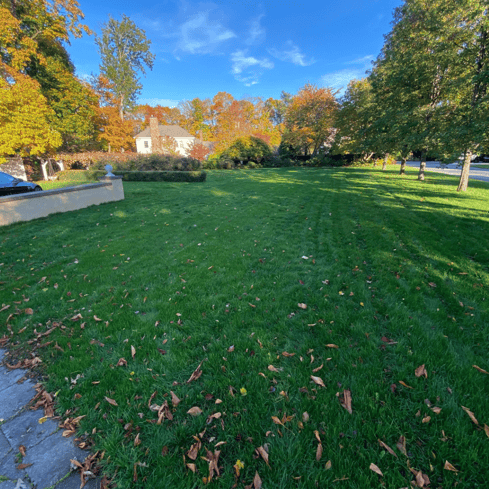 Lawn being prepared for winter in fall with fertilization and mowing to strengthen grass and protect against snow damage