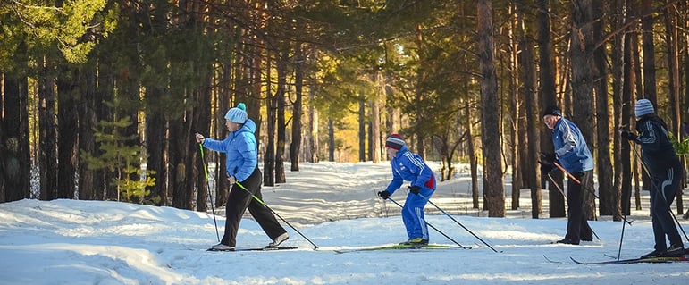 family-cross-country-skiing.jpeg