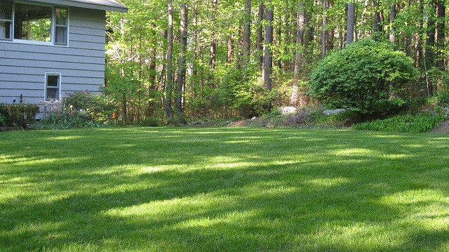 organic-fertilizer-pure-lawns-1.jpg
