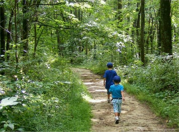 Two boys hiking in a wooded area where there could be ticks in the bush.
