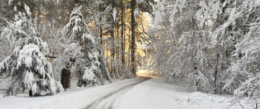 large-Snow Driveway